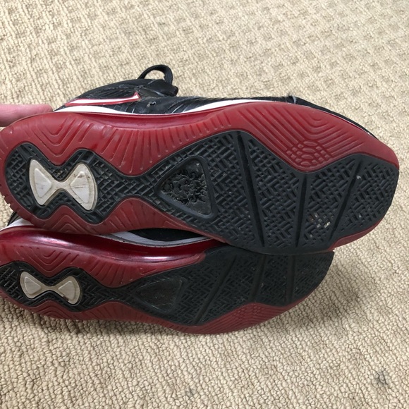 Lebrons - Picture 4 of 4